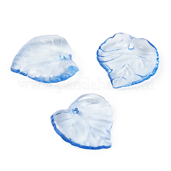 Acrylic Pendants&nbsp;MACR-TA0001-08