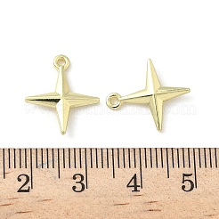 Alloy Pendants&nbsp;FIND-Z089-07G-01