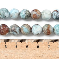 Natural Larimar Beads Strands&nbsp;G-C264-A01-10mm