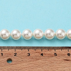 Shell Pearl Bead Strands&nbsp;X-BSHE-L026-03-8mm