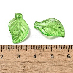 Transparent Acrylic Pendant&nbsp;OACR-E039-69B