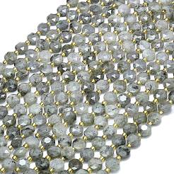 Natural Labradorite Beads Strands&nbsp;G-C116-A65-02