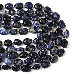 Natural Sodalite Beads Strands&nbsp;G-G453-D02-01