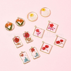 12Pcs 6 Styles Transparent Clear Epoxy Resin Pendants&nbsp;RESI-FS0001-88A
