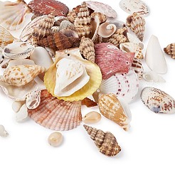 Mixed Shell Beads&nbsp;BSHE-TA0002-05