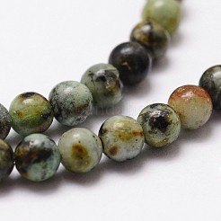 Natural African Turquoise(Jasper) Beads Strands&nbsp;G-D840-90-10mm