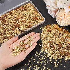 100G PET Paillette/Sequins Pendants&nbsp;KY-CY0001-24A