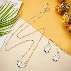 2 Sets 2 Colors Hexagon Alloy Resin Pendant Necklaces and Dangle Earrings Sets for Women&nbsp;SJEW-GO0001-03