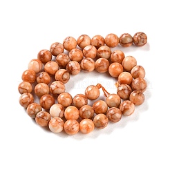 Natural Turquoise Dyed Beads Strands&nbsp;TURQ-U001-02B