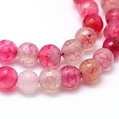 Dyed Natural Agate Faceted Round Beads Strands&nbsp;G-P098-M