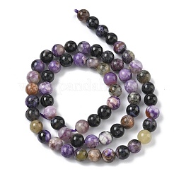 Natural Charoite Beads Strands&nbsp;G-C270-O03-02
