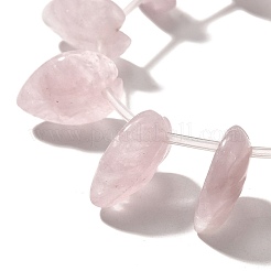 Natural Rose Quartz Beads Strands&nbsp;G-P561-A01-01