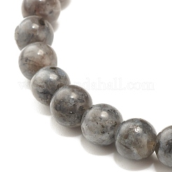 Natural Larvikite Round Beads Stretch Bracelet&nbsp;BJEW-JB07209-03