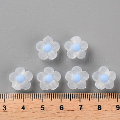 Transparent Acrylic Beads&nbsp;TACR-S152-06C-SS2113