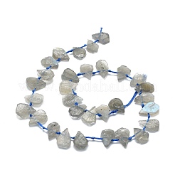 Raw Rough Natural Labradorite Beads Strands&nbsp;G-E576-21