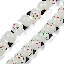 Handmade Lampwork Beads Strands&nbsp;LAMP-T017-19