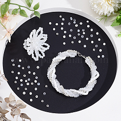 4200Pcs 6 Styles Glass Seed Beads&nbsp;SEED-PH0002-55