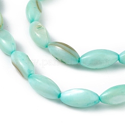 Natural Freshwater Shell Dyed Beads Strands&nbsp;SHEL-M018-13-02