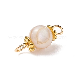 Natural Shell Connector Charms&nbsp;PALLOY-JF01658
