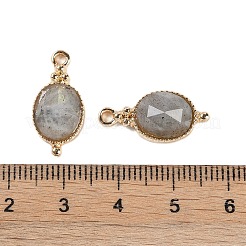 Natural Labradorite Faceted Pendans&nbsp;KK-L218-003G-03