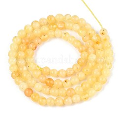 Natural Yellow Amber Beads Strands&nbsp;G-N351-04A-01