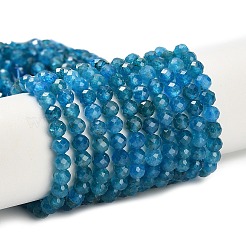 Natural Apatite Beads Strands&nbsp;G-Z106-A01-4mm
