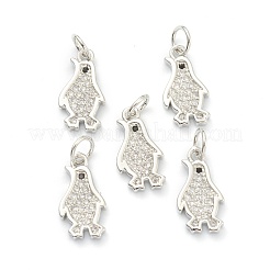 Brass Clear Cubic Zirconia Charms&nbsp;ZIRC-B010-06P