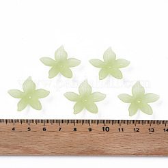 Transparent Acrylic Beads&nbsp;MACR-S373-127-D06