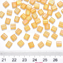 FGB 2-Hole Baking Paint Transparent Glass Seed Beads&nbsp;X-SEED-S031-L-251