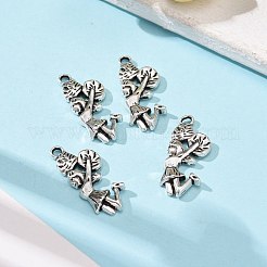Tibetan Style Alloy Pendants&nbsp;TIBEP-A19784-AS-FF