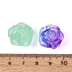 Baking Paint Transparent Glass Beads&nbsp;DGLA-N018-06
