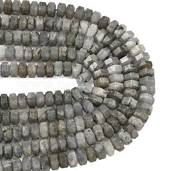 Natural Labradorite Beads Strands&nbsp;G-L654-I05-01
