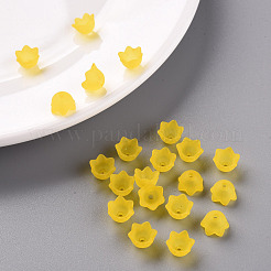 Transparent Acrylic Beads Caps&nbsp;PL543-2
