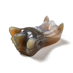 Natural Brazilian Agate Display Decorations&nbsp;DJEW-A008-05