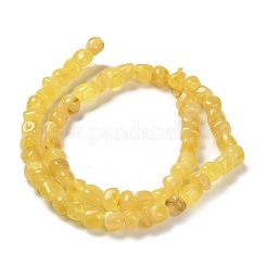 Natural Amber Beads Strands&nbsp;G-L095-J01-02