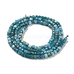 Natural Apatite Beads Strands&nbsp;G-P457-B01-14
