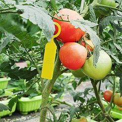 Plastic Plant Labels&nbsp;AJEW-GA0001-23