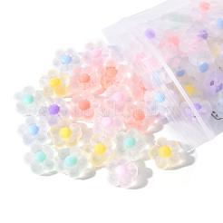 60pcs 6 Colors Transparent Acrylic Beads&nbsp;TACR-CC0001-01