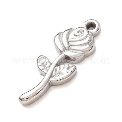 304 Stainless Steel Pendants&nbsp;SA-CBAB6EC-19P-02