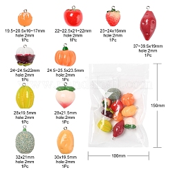 10Pcs 10 Style Resin Pendants&nbsp;RESI-YW0001-17