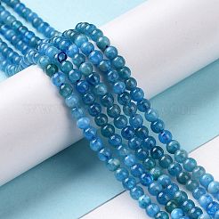 Natural Apatite Beads Strands&nbsp;G-D856-01-4mm-A