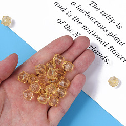Transparent Acrylic Beads&nbsp;MACR-S373-132-B09