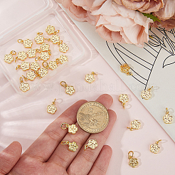 30Pcs Alloy Charms&nbsp;FIND-BBC0004-81