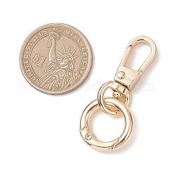 Alloy Swivel Clasps&nbsp;KEYC-JKC01459