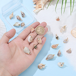20Pcs 10 Styles Electroplated Natural Mixed Shell Pendants&nbsp;BSHE-GA0001-05