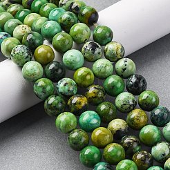 Natural Variscite Bead Strands&nbsp;G-G-P444-01A