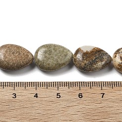 Natural Picture Jasper Beads Strands&nbsp;G-P528-L24-01