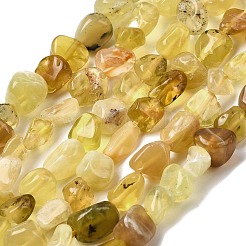 Natural Yellow Opal Beads Strands&nbsp;G-P601-A02-02