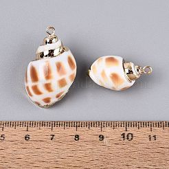 Electroplate Natural Sea Shell Pendants&nbsp;SSHEL-Q100-09KCG