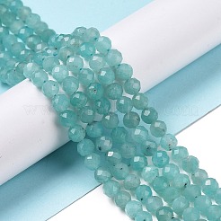 Natural Amazonite Beads Strands&nbsp;G-C009-A01